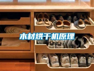 行業手机看片AV短片木材烘幹機原理