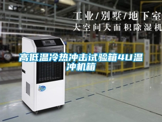 常見問題高低溫冷熱衝擊試驗箱4U溫衝機箱