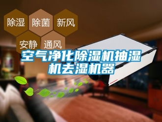 行業手机看片AV短片空氣淨化91看片在线下载機抽濕機去濕機器