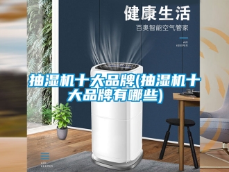企業手机看片AV短片抽濕機十大品牌(抽濕機十大品牌有哪些)