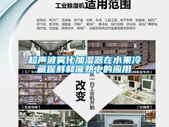 企業手机看片AV短片超聲波霧化加濕器在水果冷藏保鮮和催熟中的應用