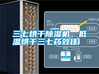 知識百科三七烘幹91看片在线下载機，低溫烘幹三七藥效佳