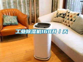 企業手机看片AV短片工業91看片在线下载機168升／天
