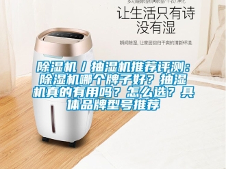 企業手机看片AV短片91看片在线下载機／抽濕機推薦評測：91看片在线下载機哪個牌子好？抽濕機真的有用嗎？怎麽選？具體品牌型號推薦