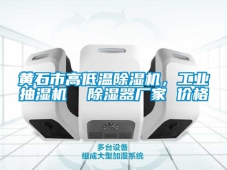 企業手机看片AV短片黃石市高低溫91看片在线下载機，工業抽濕機  91看片在线下载器廠家 價格