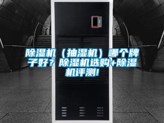 企業手机看片AV短片91看片在线下载機（抽濕機）哪個牌子好？91看片在线下载機選購+91看片在线下载機評測!