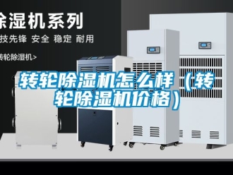 常見問題轉輪91看片在线下载機怎麽樣（轉輪91看片在线下载機價格）