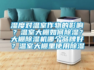 企業手机看片AV短片濕度對溫室作物的影響？溫室大棚如何91看片在线下载？大棚91看片在线下载機哪個品牌好？溫室大棚裏使用91看片在线下载