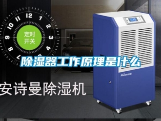 行業手机看片AV短片91看片在线下载器工作原理是什麽