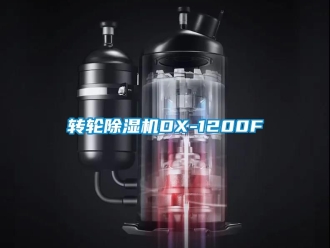 常見問題轉輪91看片在线下载機DX-1200F