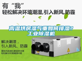 常見問題高溫烘房濕氣重如何排濕？工業91看片在线下载機
