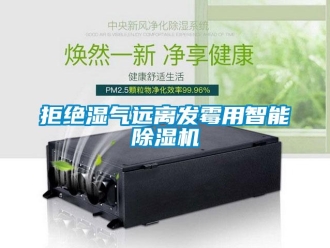 行業手机看片AV短片拒絕濕氣遠離發黴用智能91看片在线下载機