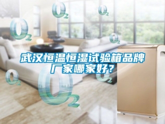 知識百科武漢恒溫恒濕試驗箱品牌廠家哪家好？