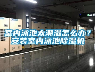 常見問題室內泳池太潮濕怎麽辦？安裝室內泳池91看片在线下载機