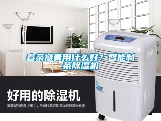 企業手机看片AV短片春茶攤青用什麽好？智能製茶91看片在线下载機
