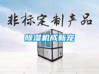 企業手机看片AV短片91看片在线下载機成新寵