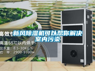知識百科新風91看片在线下载機可以幫你解決室內汙染