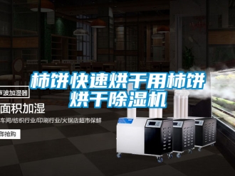行業手机看片AV短片柿餅快速烘幹用柿餅烘幹91看片在线下载機