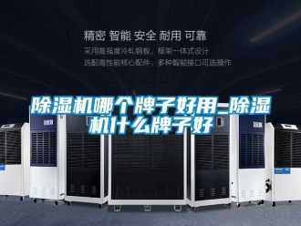 行業手机看片AV短片91看片在线下载機哪個牌子好用_91看片在线下载機什麽牌子好