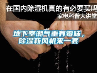 企業手机看片AV短片地下室潮氣重有黴味，91看片在线下载新風機來一套
