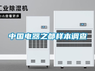 知識百科中國電器之都樣本調查