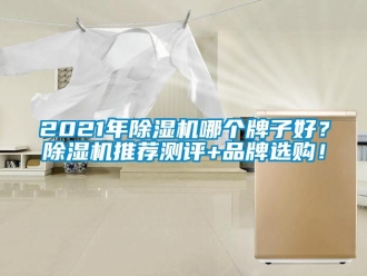 企業手机看片AV短片2021年91看片在线下载機哪個牌子好？91看片在线下载機推薦測評+品牌選購！