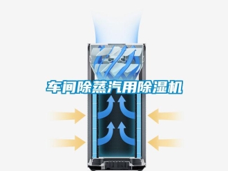 企業手机看片AV短片車間除蒸汽用91看片在线下载機
