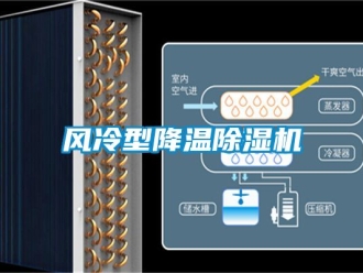 行業手机看片AV短片風冷型降溫91看片在线下载機