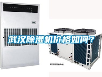企業手机看片AV短片武漢91看片在线下载機價格如何？