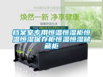 知識百科檔案室專用恒溫恒濕櫃恒溫恒濕保存櫃恒溫恒濕儲藏櫃