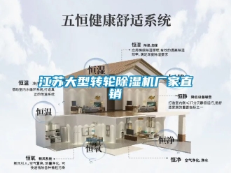 企業手机看片AV短片江蘇大型轉輪91看片在线下载機廠家直銷