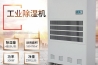 別問91看片在线下载機什麽價格，隻有用過後才會知道怎麽樣？