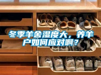 常見問題冬季羊舍濕度大，養羊戶如何應對啊？
