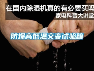企業手机看片AV短片防爆高低溫交變試驗箱