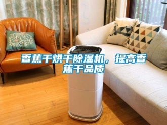 行業手机看片AV短片香蕉幹烘幹91看片在线下载機，提高香蕉幹品質