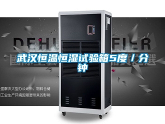 知識百科武漢恒溫恒濕試驗箱5度／分鍾