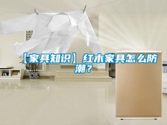 企業手机看片AV短片【家具知識】紅木家具怎麽防潮？