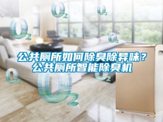 常見問題公共廁所如何除臭除異味？公共廁所智能除臭機