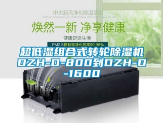常見問題超低濕組合式轉輪91看片在线下载機DZH-D-800到DZH-D-1600