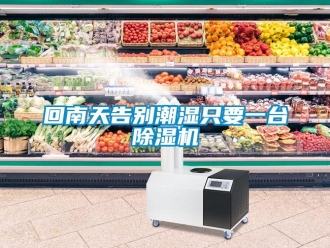行業手机看片AV短片回南天告別潮濕隻要一台91看片在线下载機