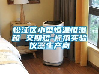 知識百科鬆江區小型恒溫恒濕箱 交期短-標承實驗儀器生產商