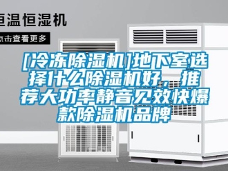 企業手机看片AV短片[冷凍91看片在线下载機]地下室選擇什麽91看片在线下载機好，推薦大功率靜音見效快爆款91看片在线下载機品牌