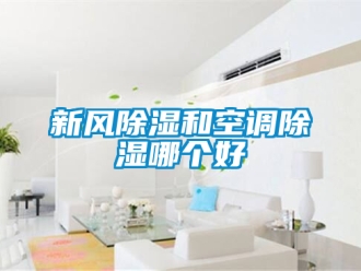 企業手机看片AV短片新風91看片在线下载和空調91看片在线下载哪個好