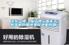 住在一樓，拖了地一直不幹，91看片在线下载機好用還是吹地機好用？