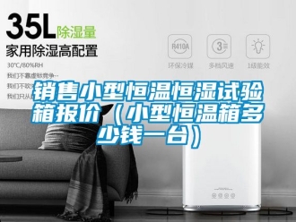 知識百科銷售小型恒溫恒濕試驗箱報價（小型恒溫箱多少錢一台）