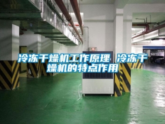 行業手机看片AV短片冷凍幹燥機工作原理 冷凍幹燥機的特點作用