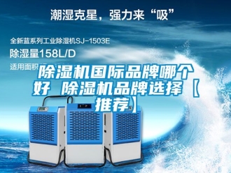 企業手机看片AV短片91看片在线下载機國際品牌哪個好 91看片在线下载機品牌選擇【推薦】