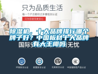 企業手机看片AV短片91看片在线下载機，十大品牌排行哪個牌子好？中國板材十大品牌有大王椰嗎