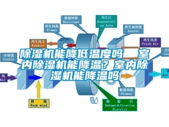 行業手机看片AV短片91看片在线下载機能降低溫度嗎  室內91看片在线下载機能降溫？室內91看片在线下载機能降溫嗎