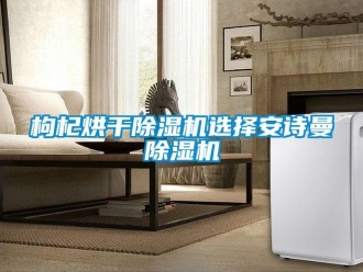 企業手机看片AV短片枸杞烘幹91看片在线下载機選擇91免费看片APP91看片在线下载機